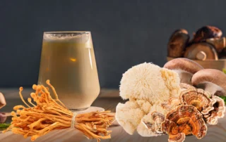 Mushroom drink
